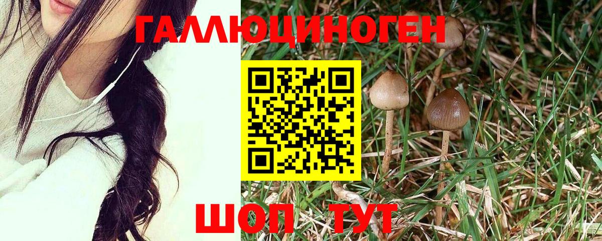 Галлюциногенные грибы Magic Shrooms  сколько стоит  Донецк  Вход с VPN 